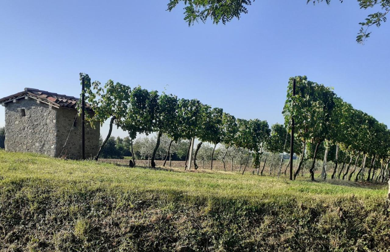 Vicolo Del Nido B&B Paderno Franciacorta Екстериор снимка